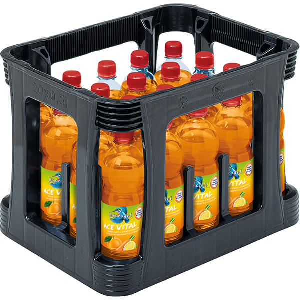 Eisvogel ACE Vital PET 20x0,5 l